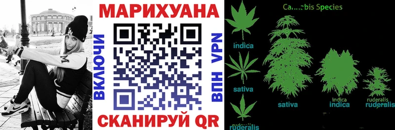 как найти закладки  Петровск-Забайкальский  Канабис план 